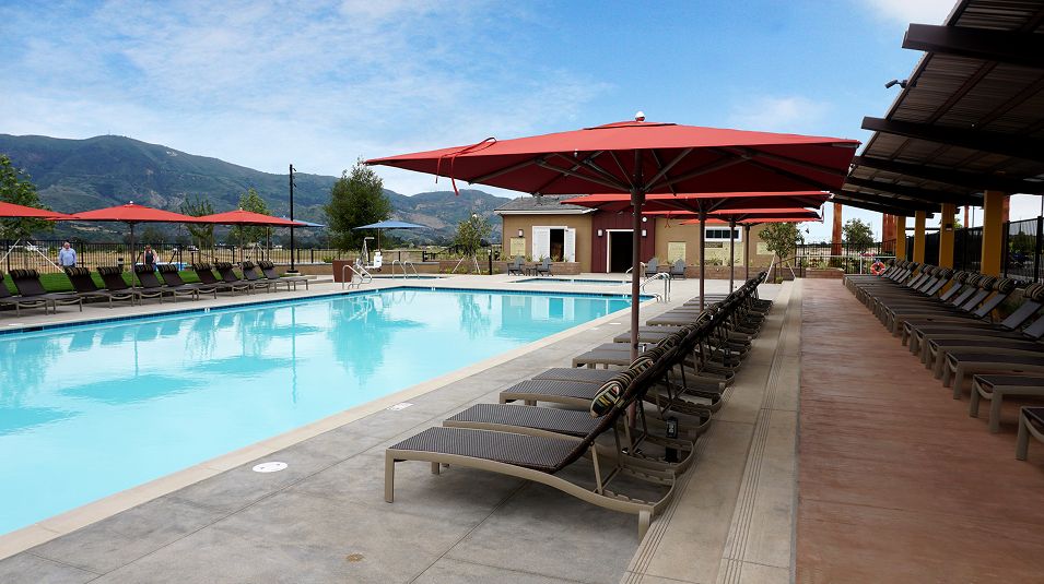 Harvest Limoneira Amenity Pool 2of3