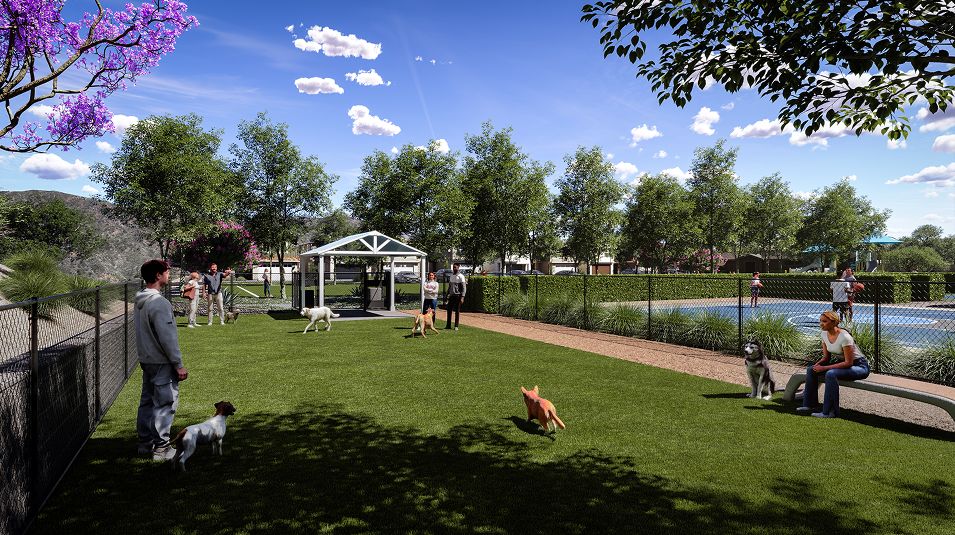 Lennar Cal Coastal Harvest at Limoneira View 07 Dogpark
