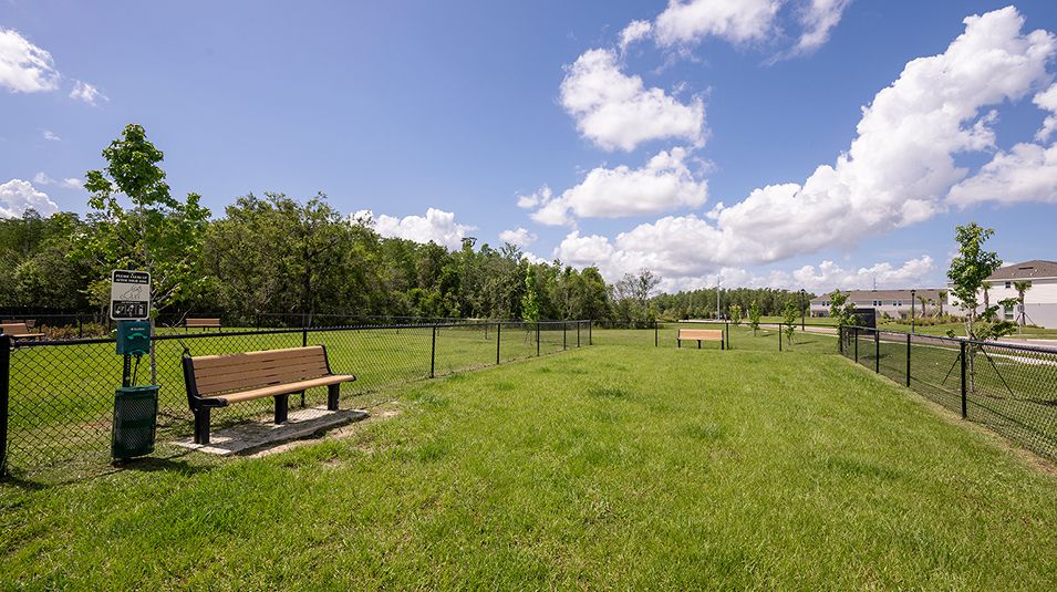 Westview Amenity Dog Park 1of2