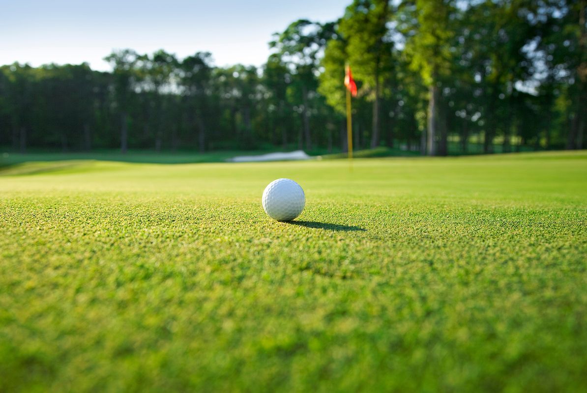 N Pic Sports Golf Ball Closeup