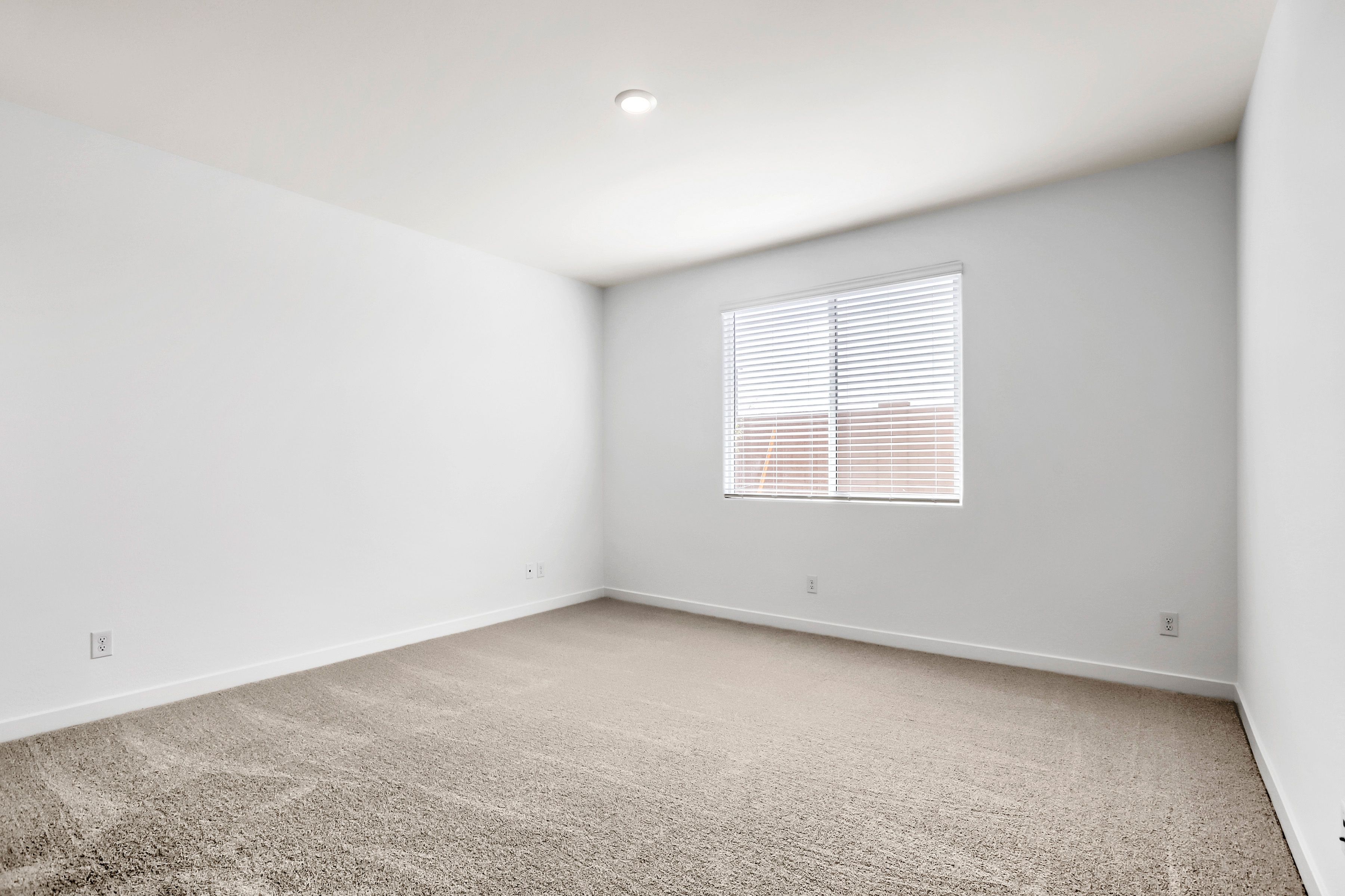 25336 N 175th Ave   Print Quality   006   06 Primary Bedroom