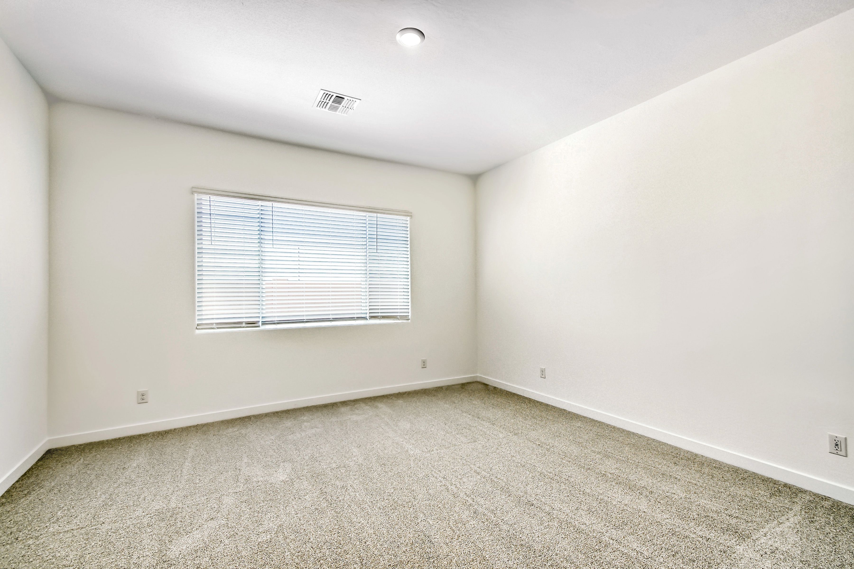 25137 N 177th Ave   Print Quality   007   07 Primary Bedroom