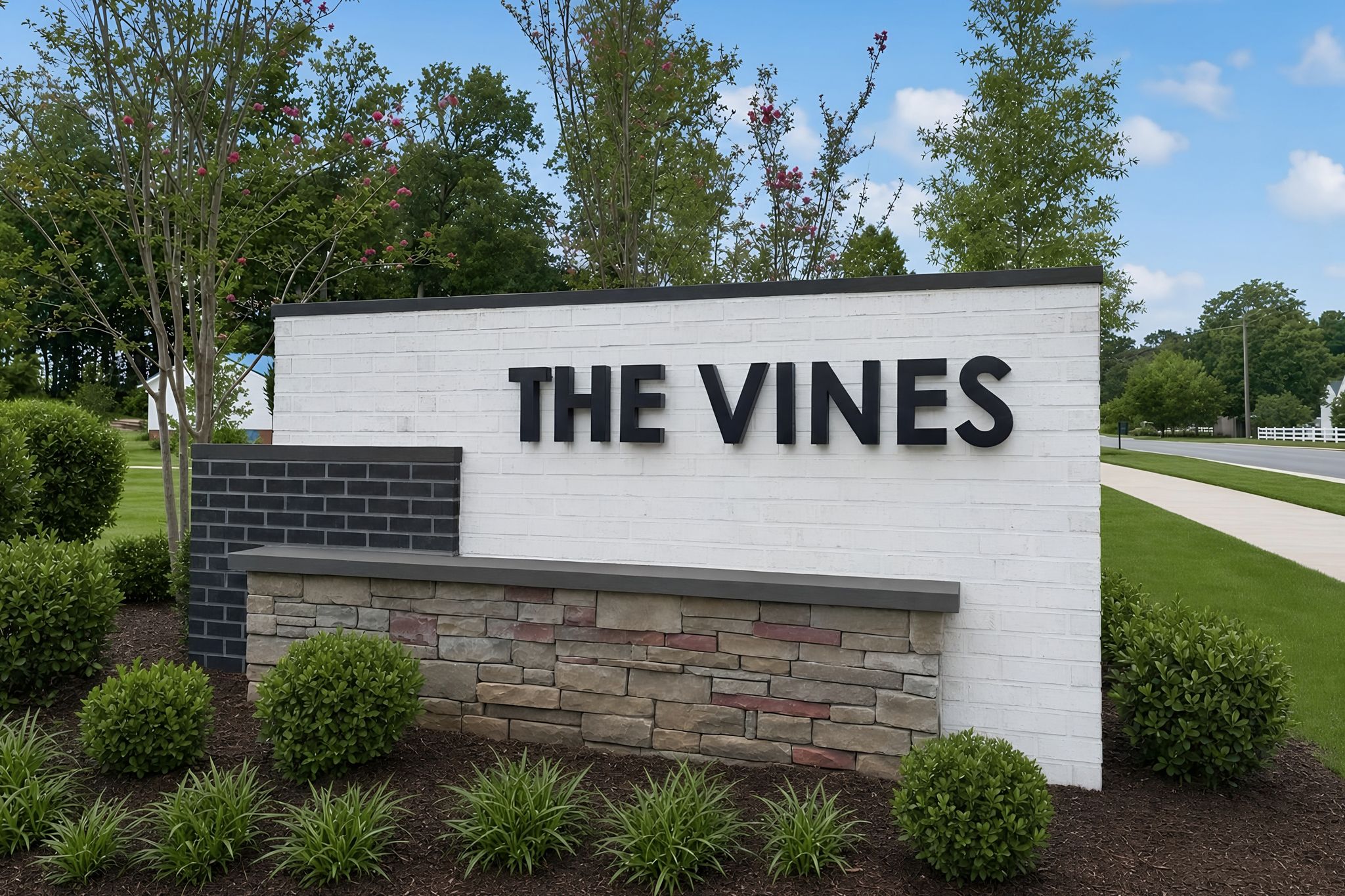 The Vines Morgan 4