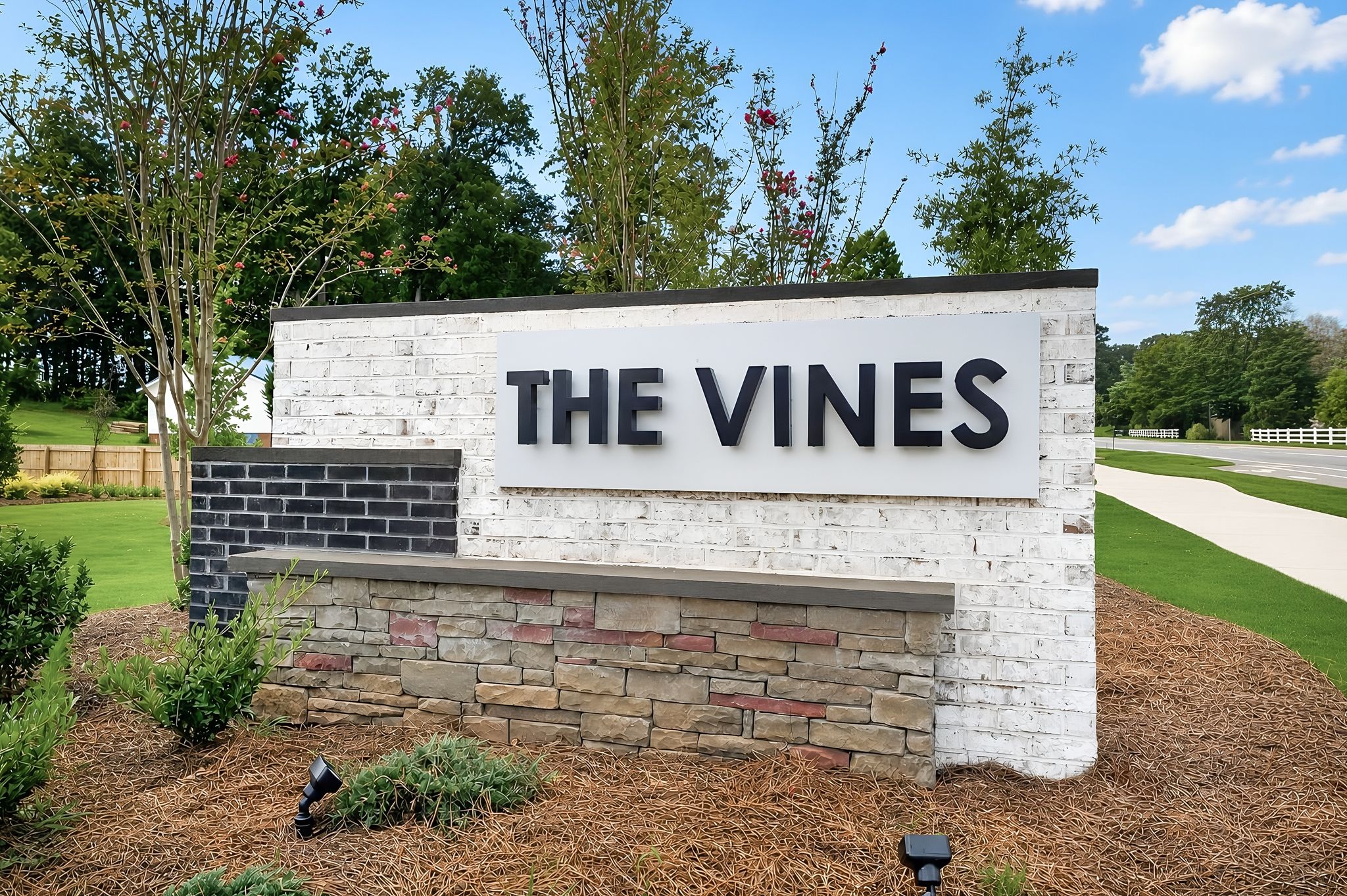 The Vines Taggart 12