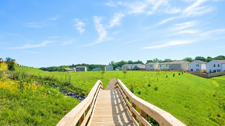 Summit View Amenity Trail