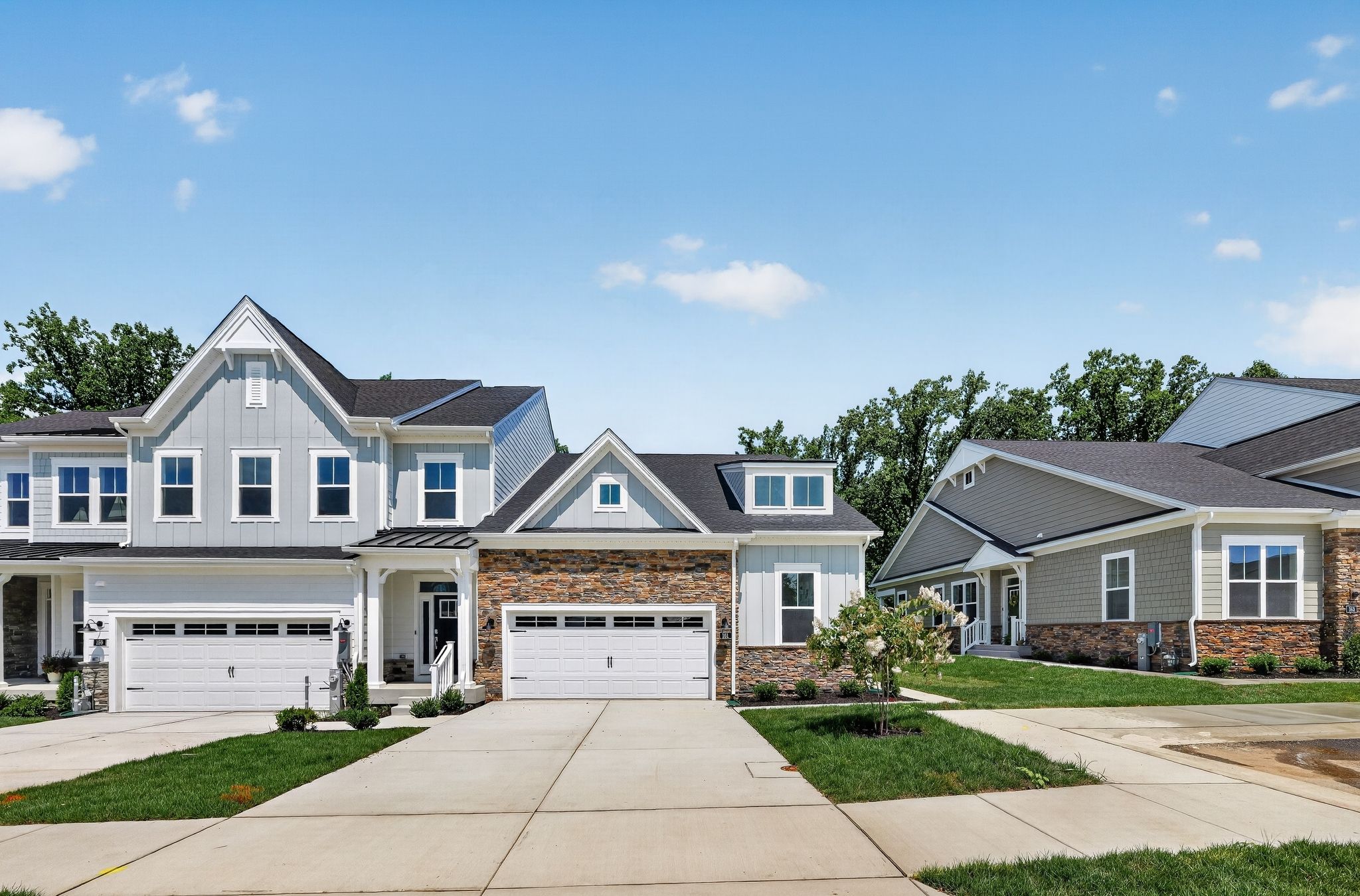 Bailey Basement - Heights at Hunt Valley|Active Adult 55+: Sparks, Maryland - Lennar