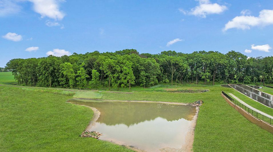 Arbor Bluff Amenity Pond