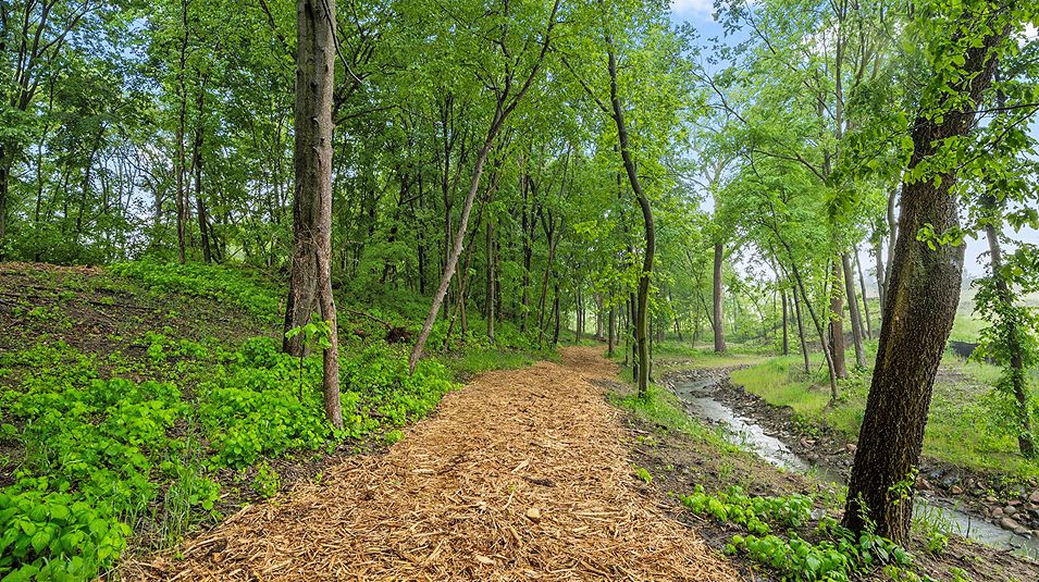 Arbor Bluff Amenity Trail