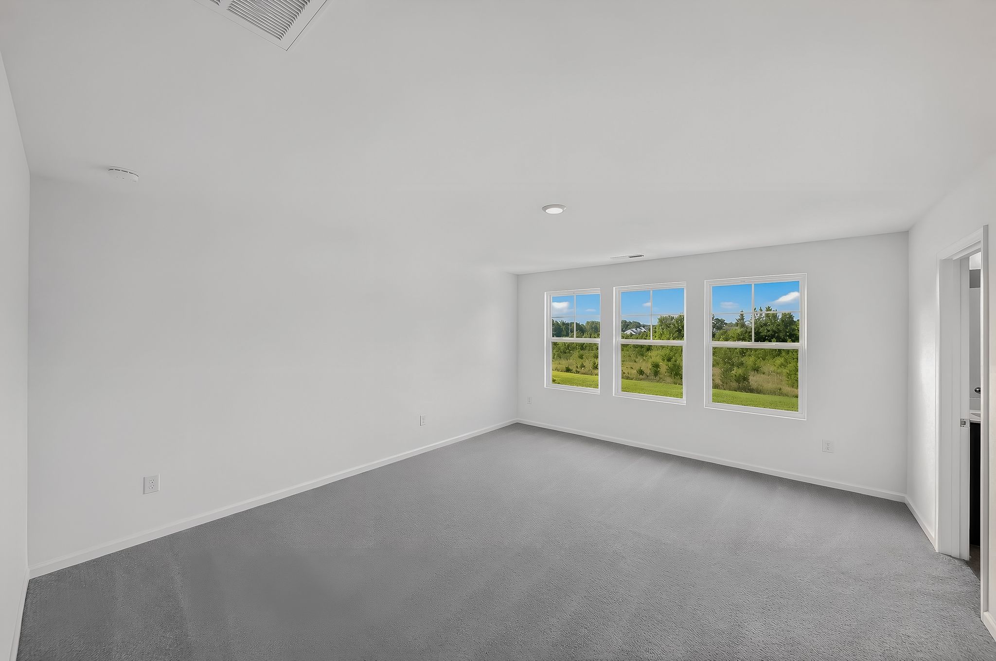 Elizabeth Springs Coleman 16