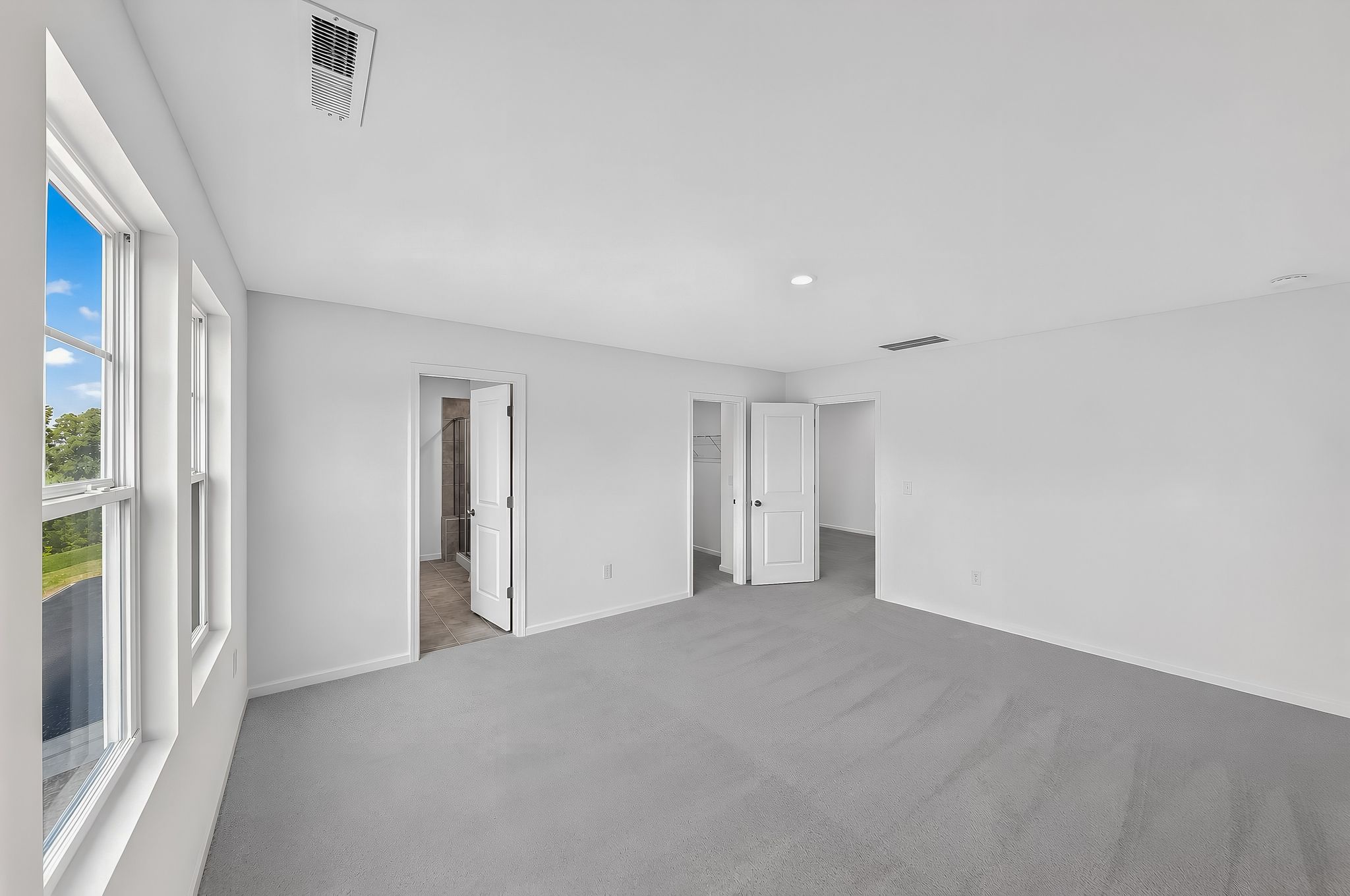 Elizabeth Springs Coleman 17