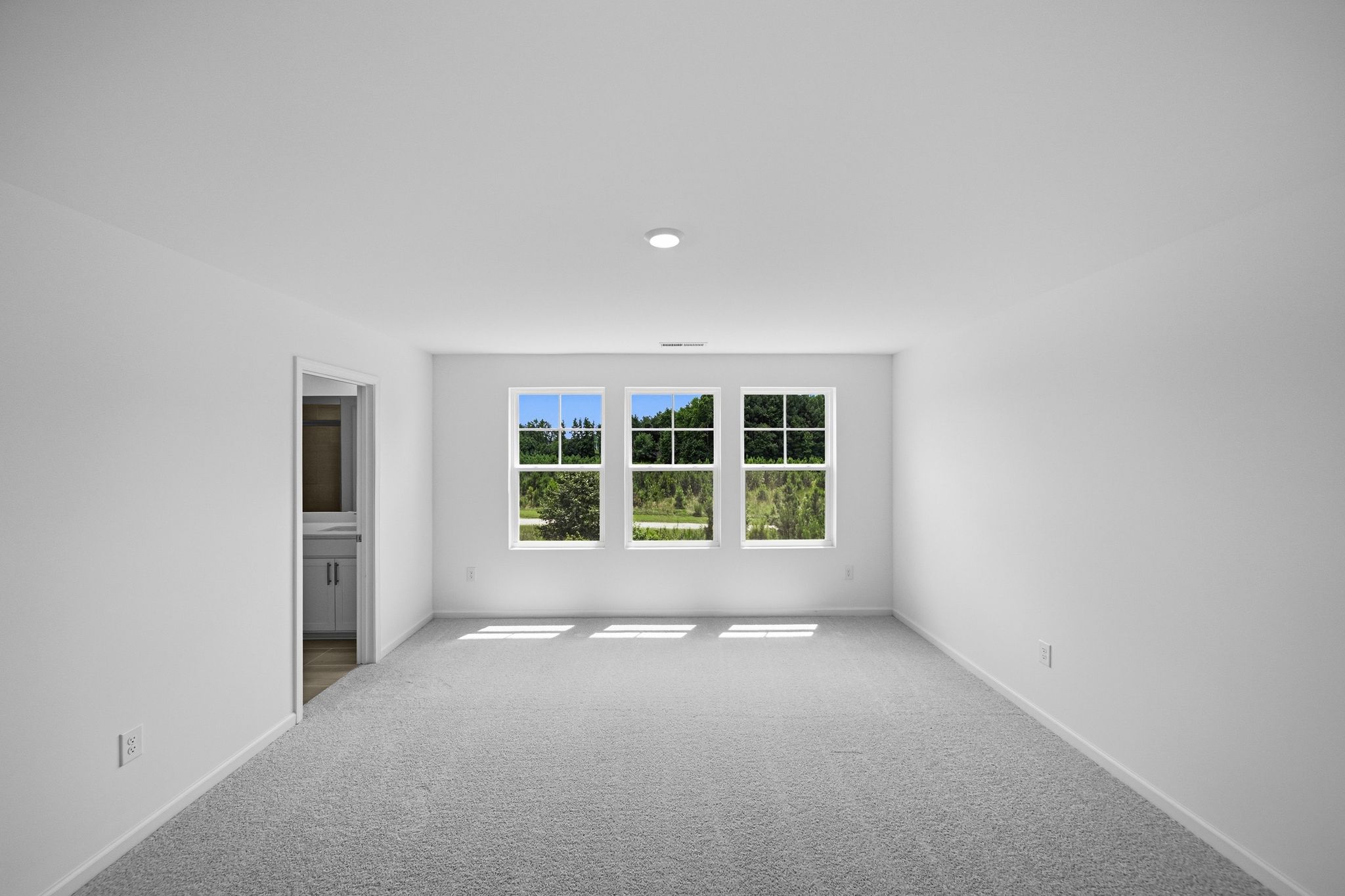 Elizabeth Springs Coleman 15