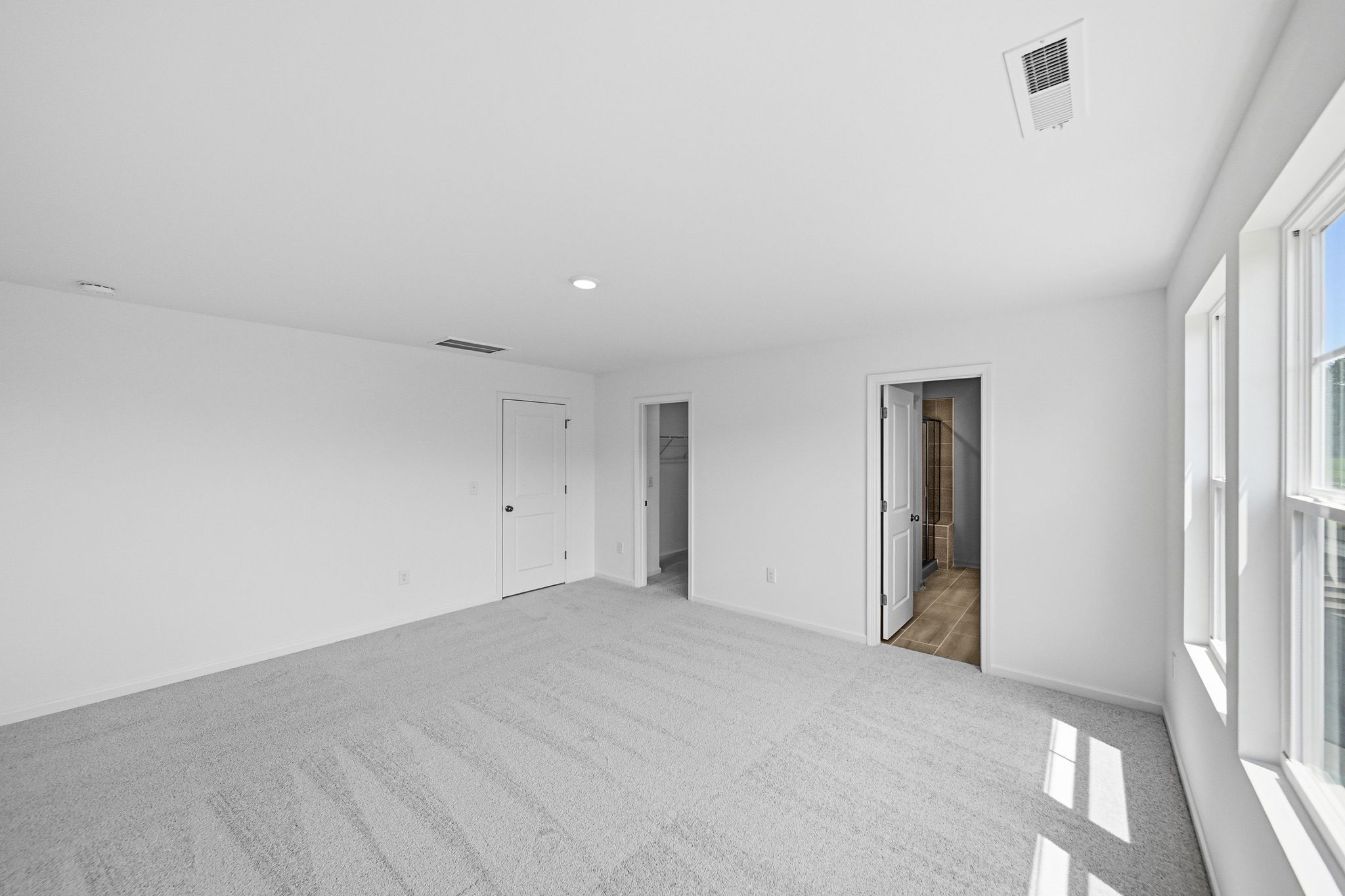 Elizabeth Springs Coleman 17