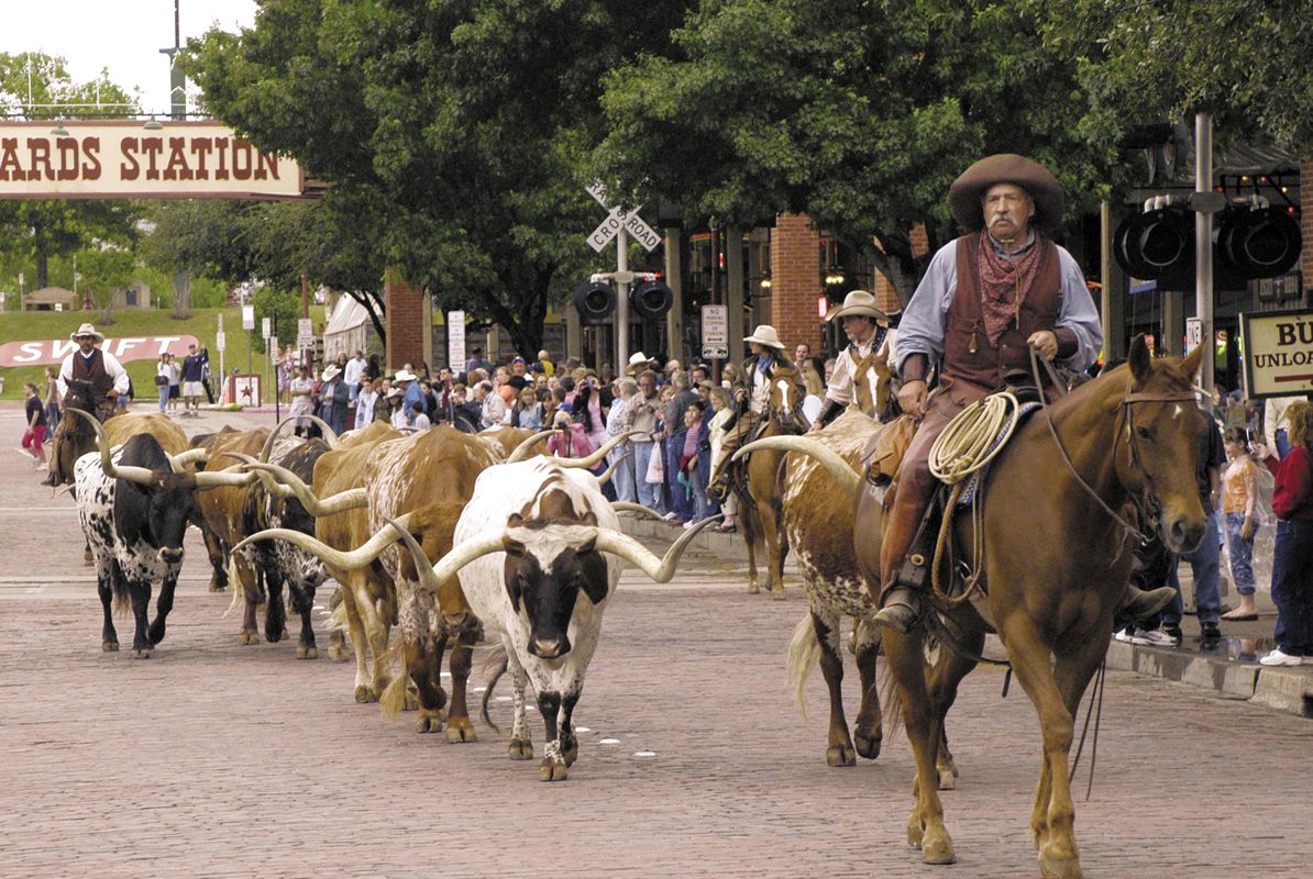 Fort Worth Market Fort Worth Herd 030526