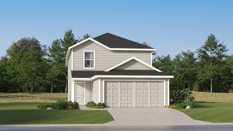 11318 Evergreen Rose (Tilley)
