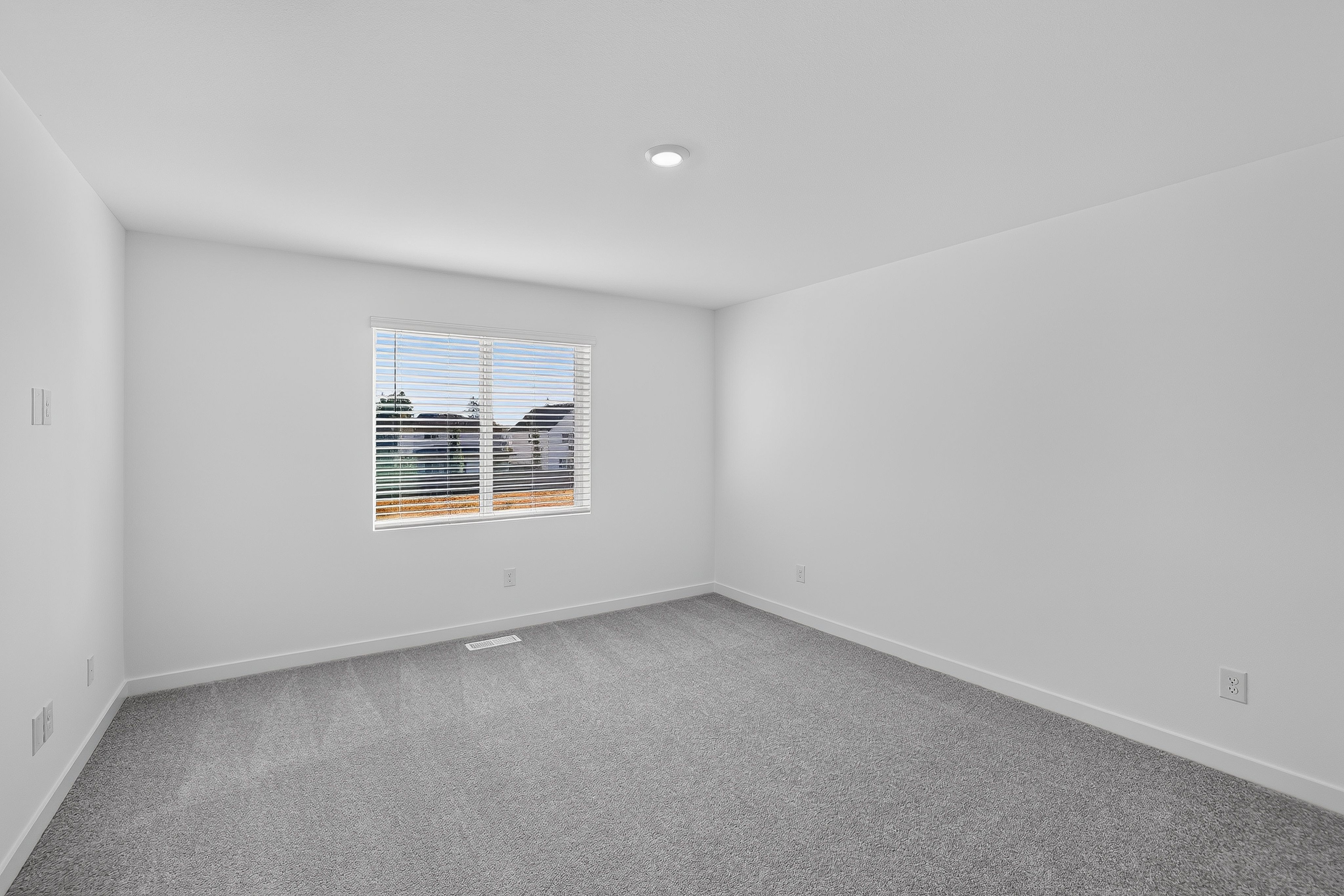 Alderand Ash Charlotte 20