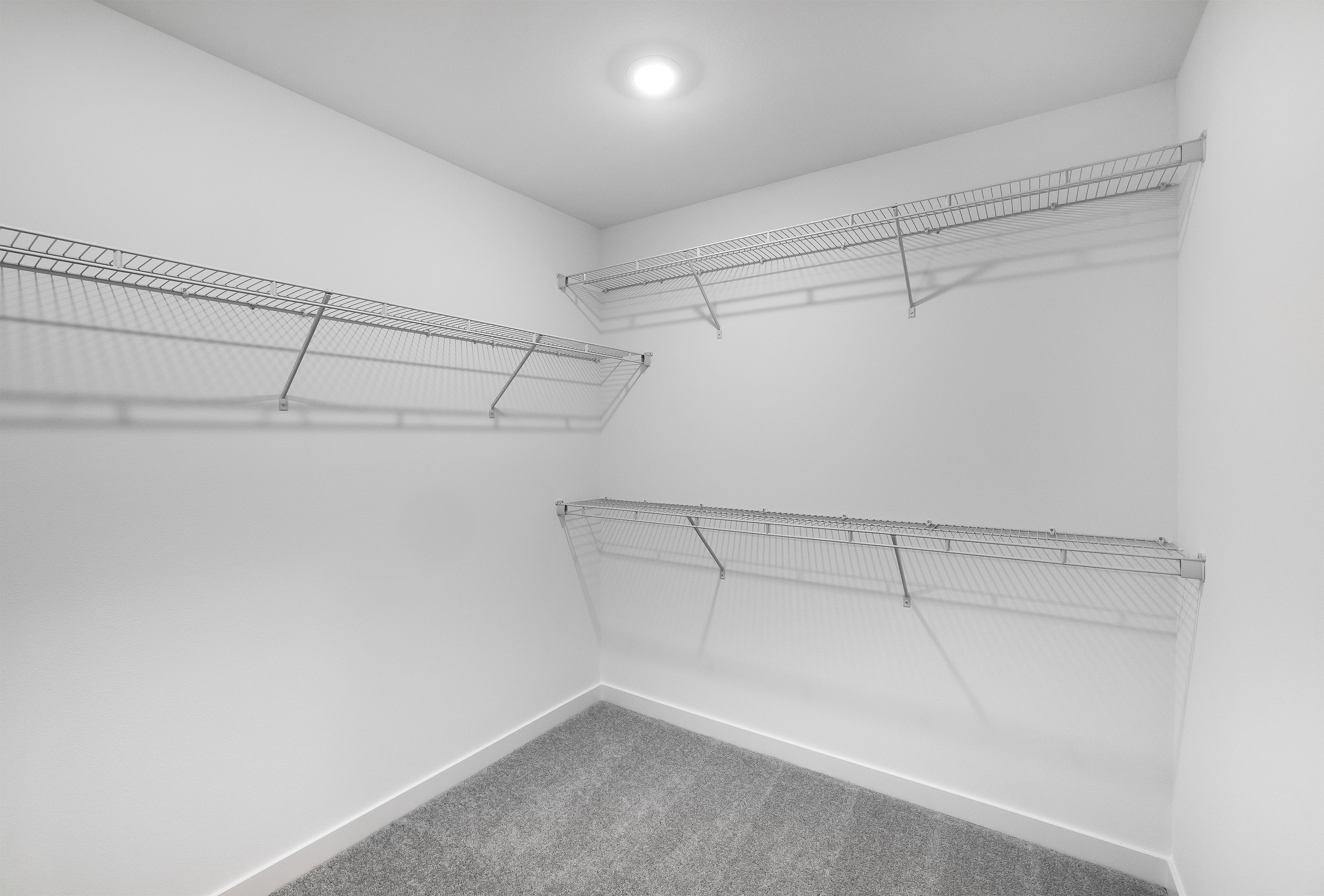 Alderand Ash Charlotte 31