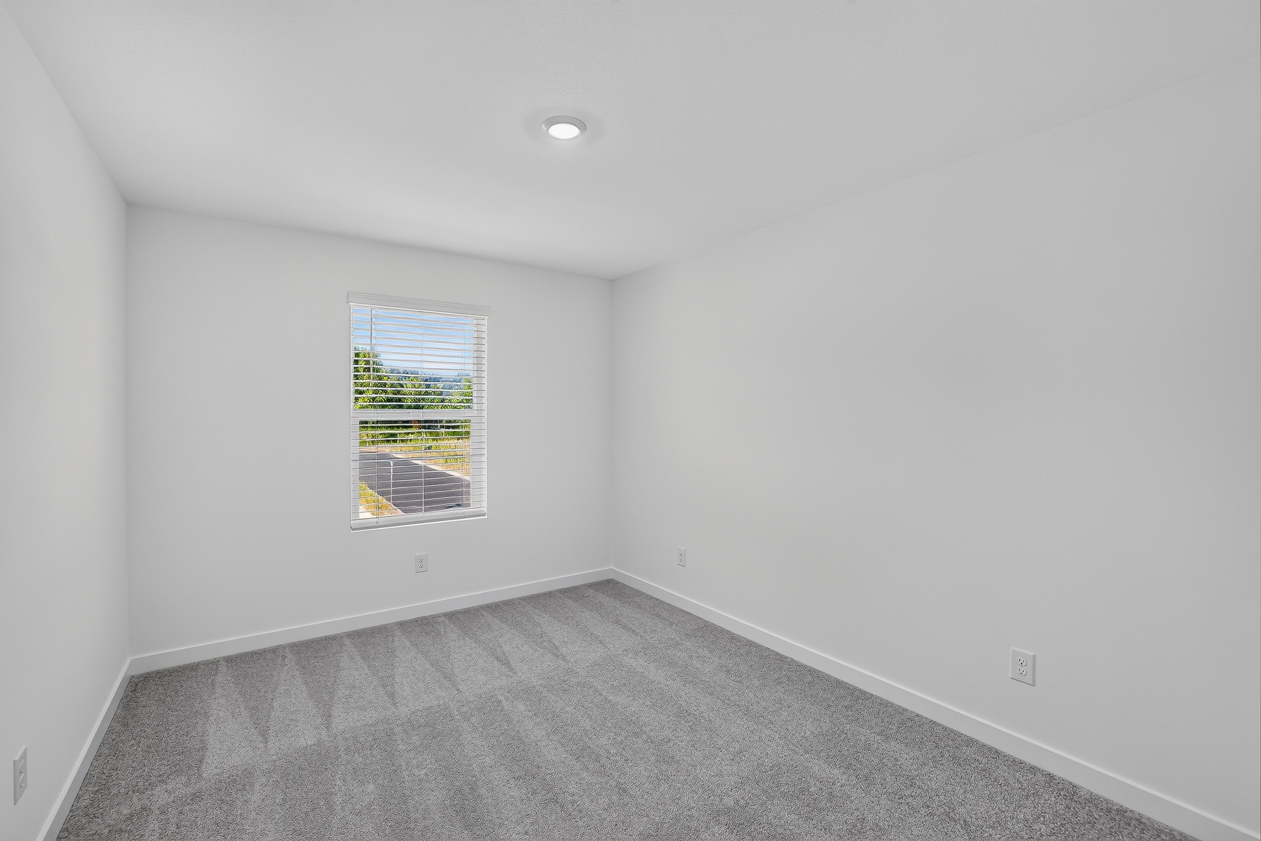 Alderand Ash Charlotte 19