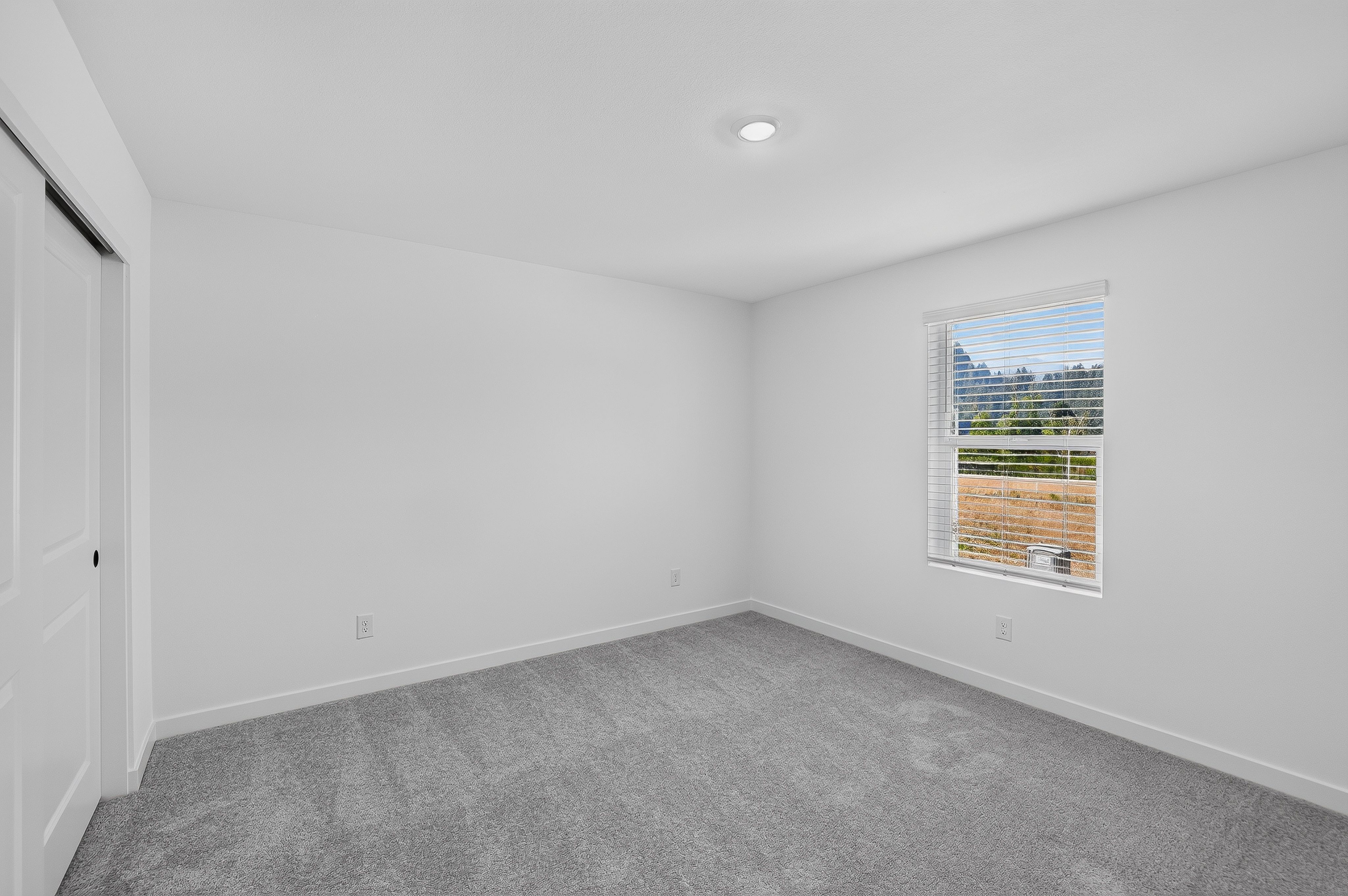 Alderand Ash Charlotte 18