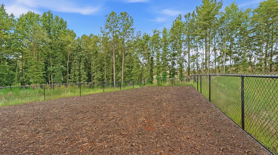Mahaffey Place Amenity Dog Park