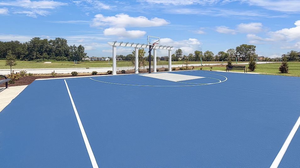 Ravinia Amenity Basketball Court