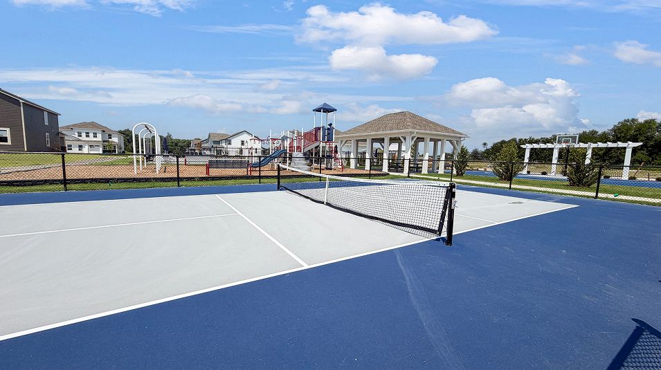 Ravinia Amenity Pickleball Court