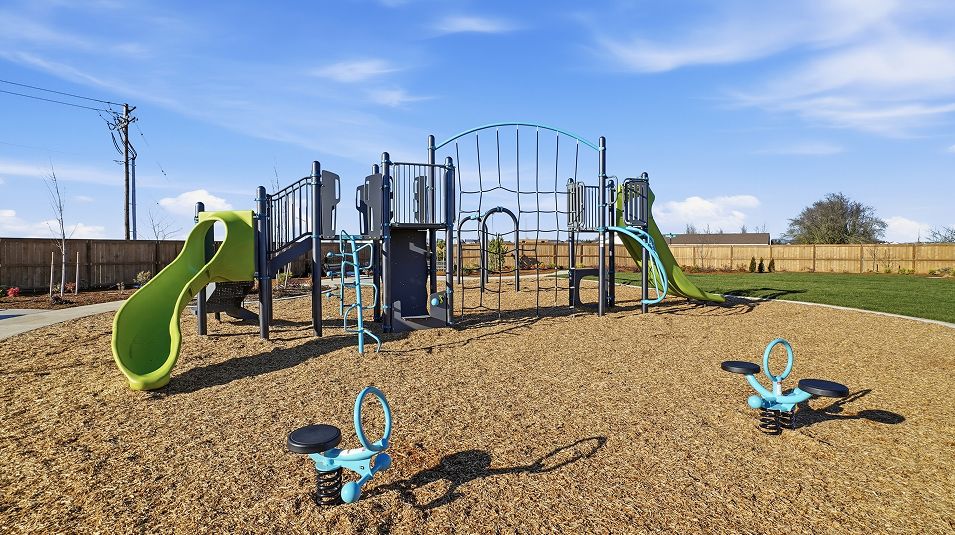 Brighton Pointe Amenity Park