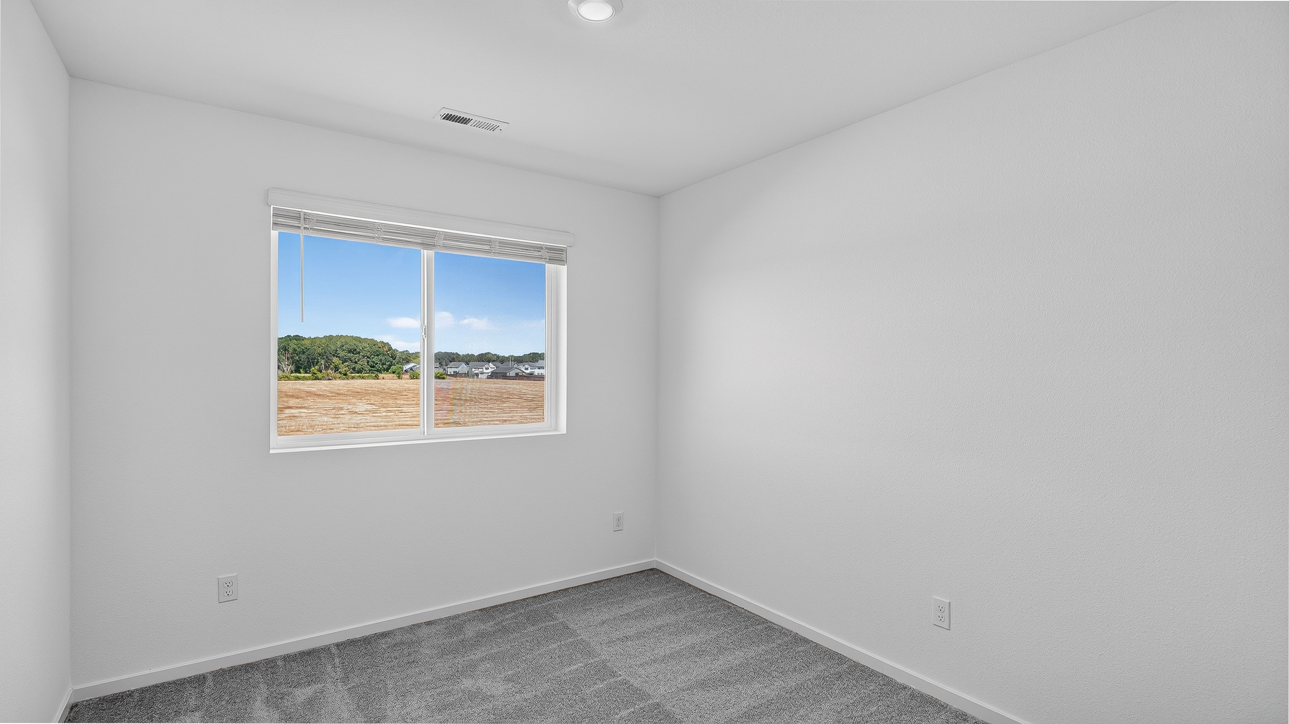 Curry Meadows Casey 16