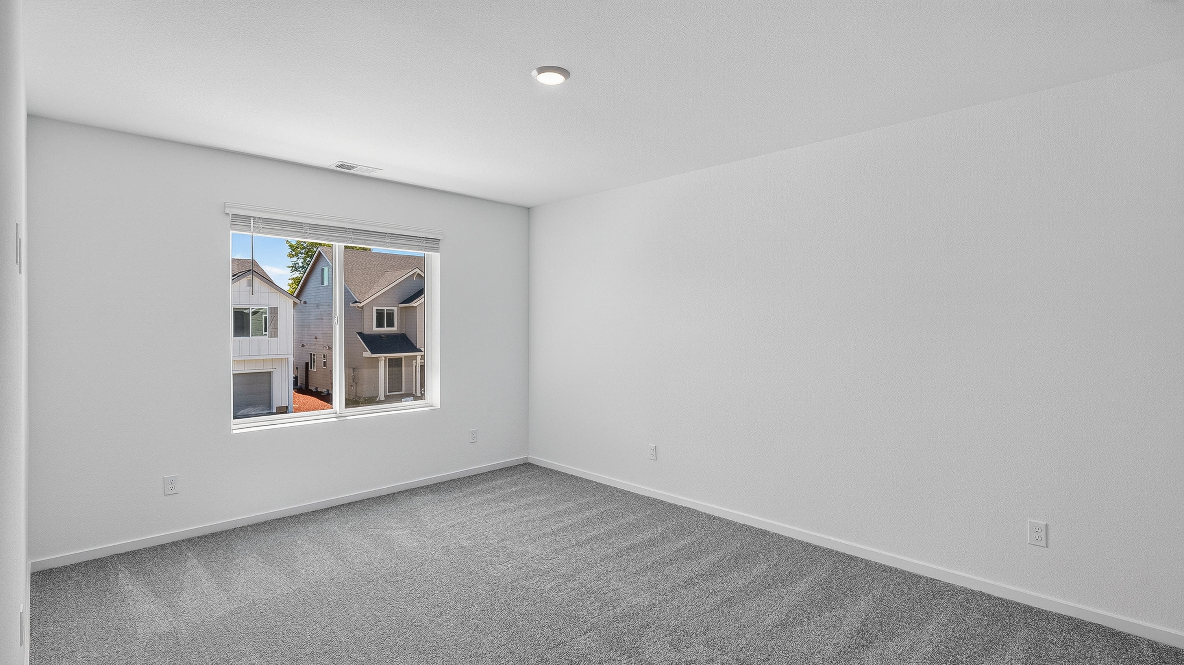 Curry Meadows Casey 21