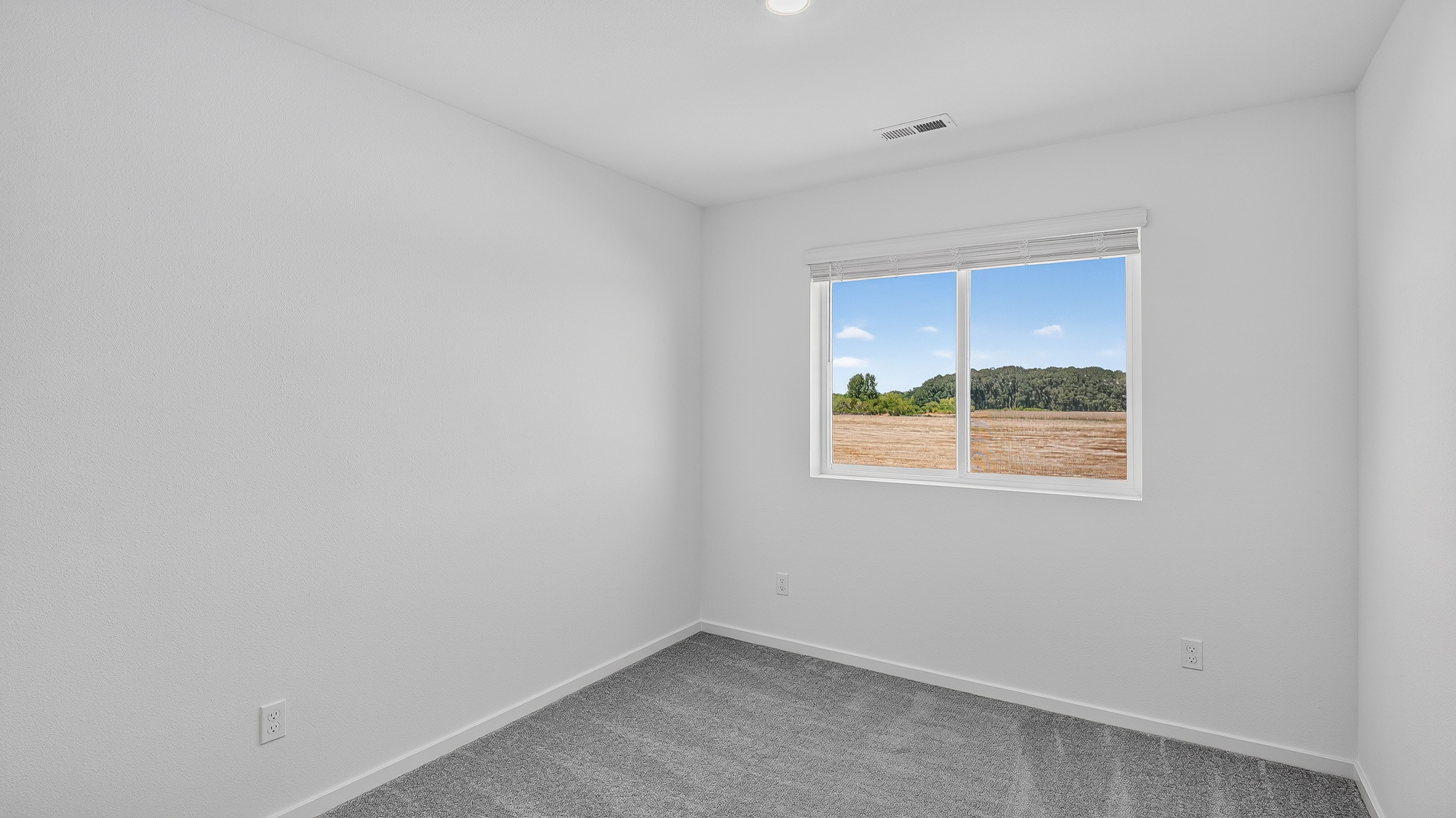 Curry Meadows Casey 22