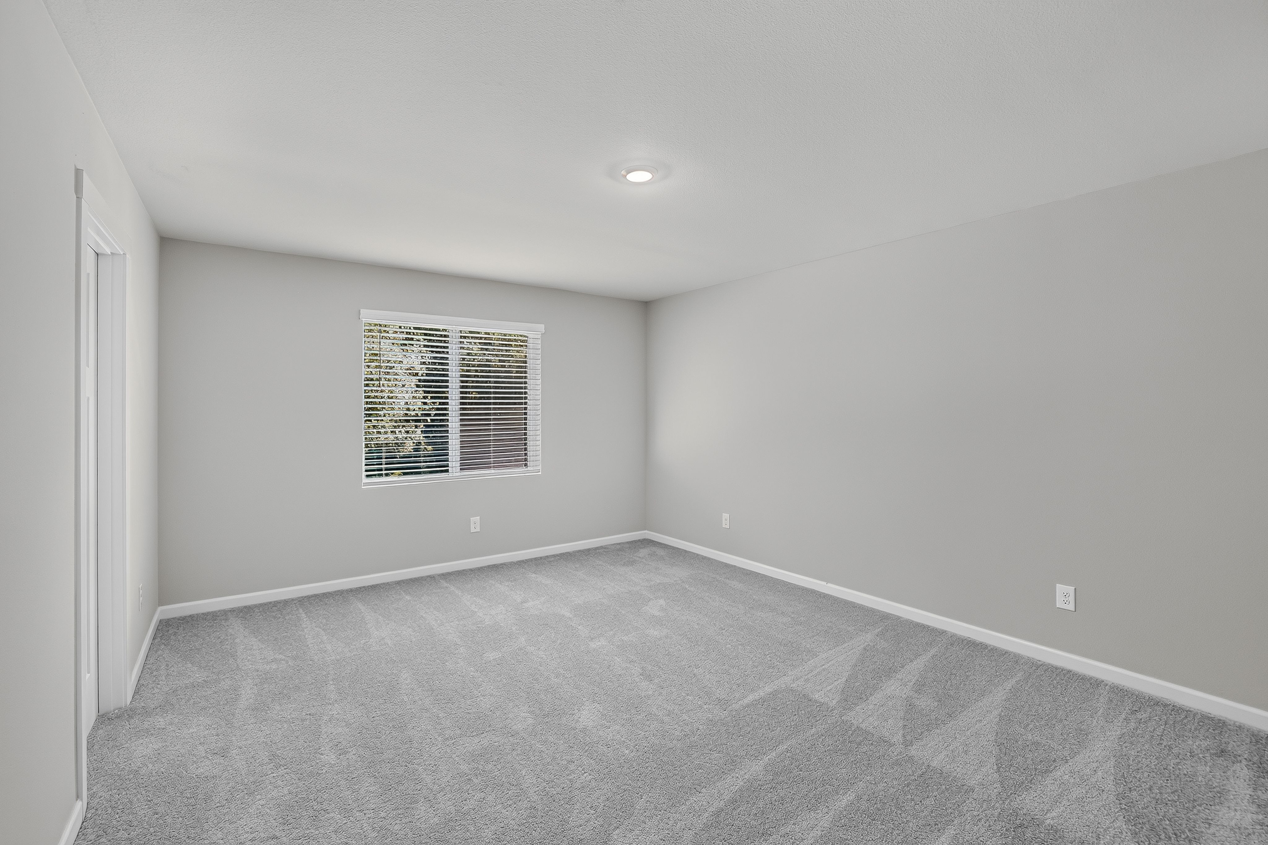 Heartwood Cypress 21