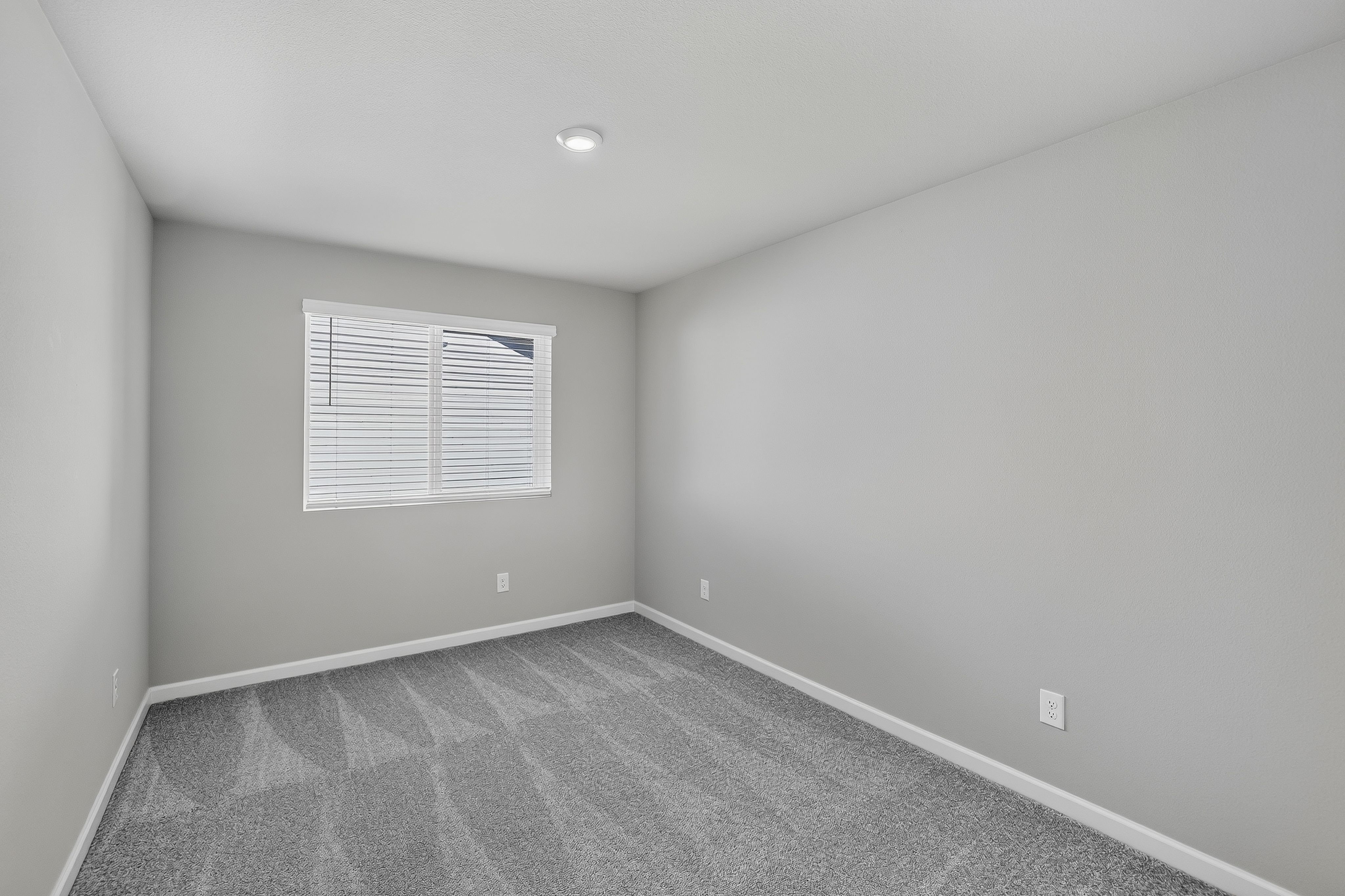 Heartwood Cypress 19
