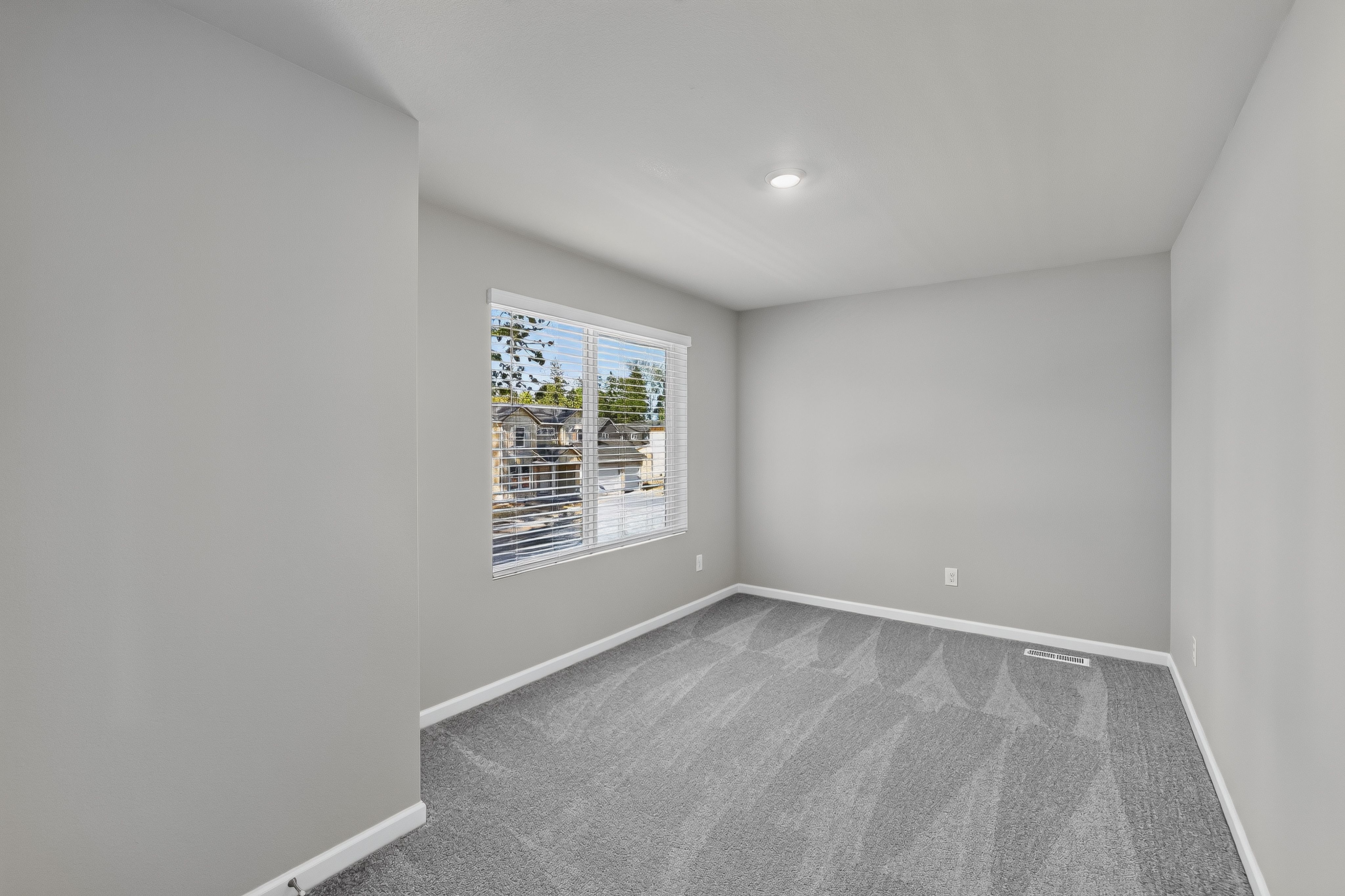 Heartwood Cypress 20