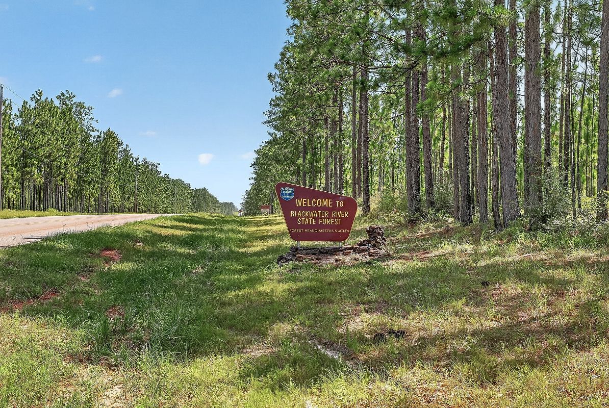 Laurel Hill Florida Blackwater River 4of4