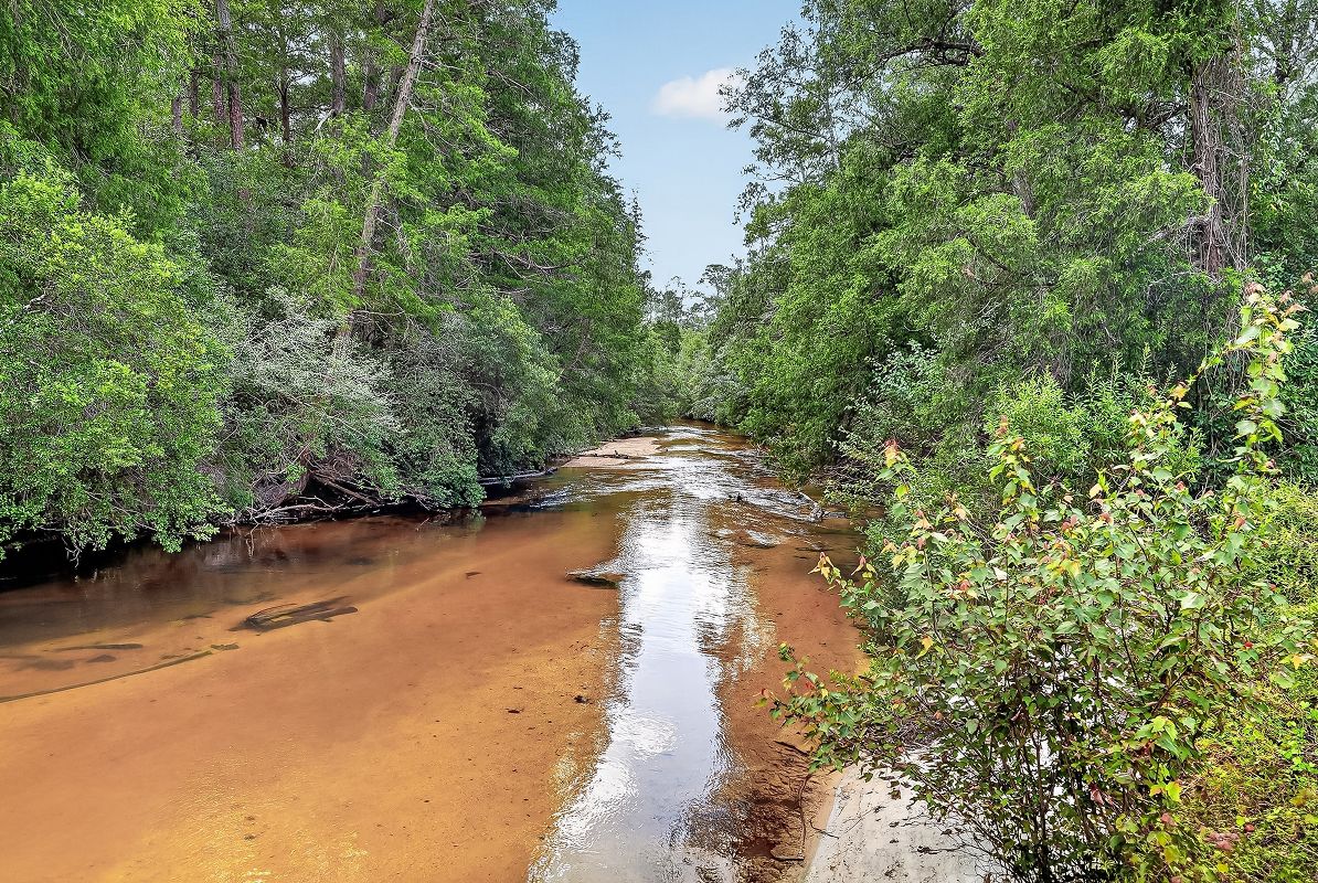 Laurel Hill Florida Blackwater River 2of4