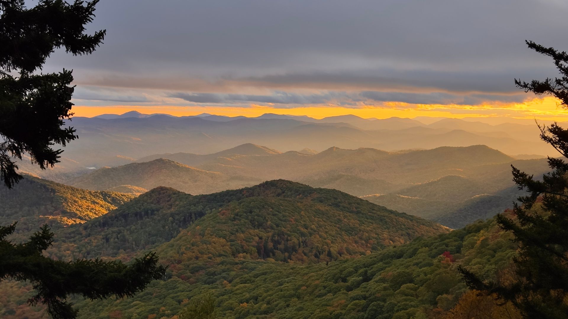 shutterstock 2485849229