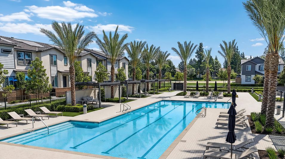 Springhill Amenity Pool 10of10