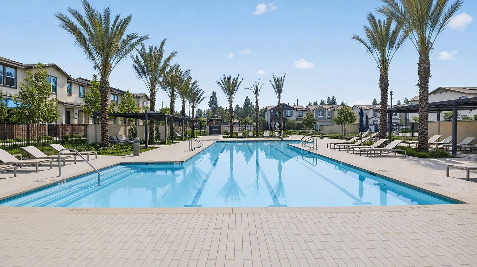 Springhill Amenity Pool 8of10