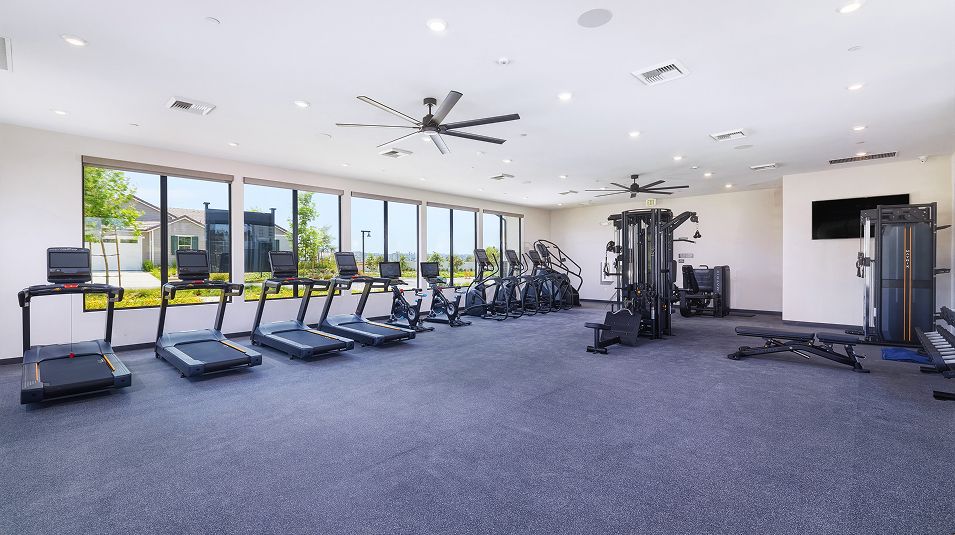 North River Farms Amenity Fitness Center