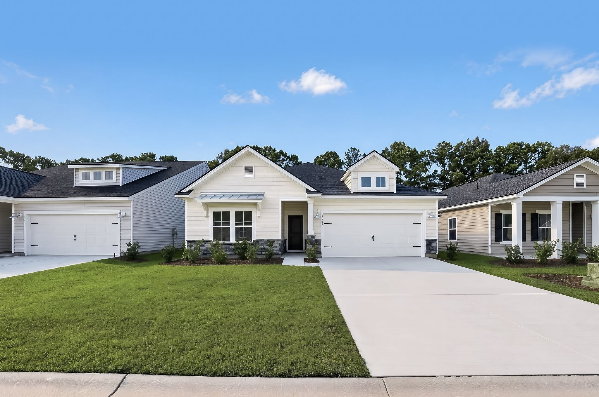 LITCHFIELD II - Wood Stork Landing - Arbor Collection: Ocean Isle Beach, North Carolina - Lennar