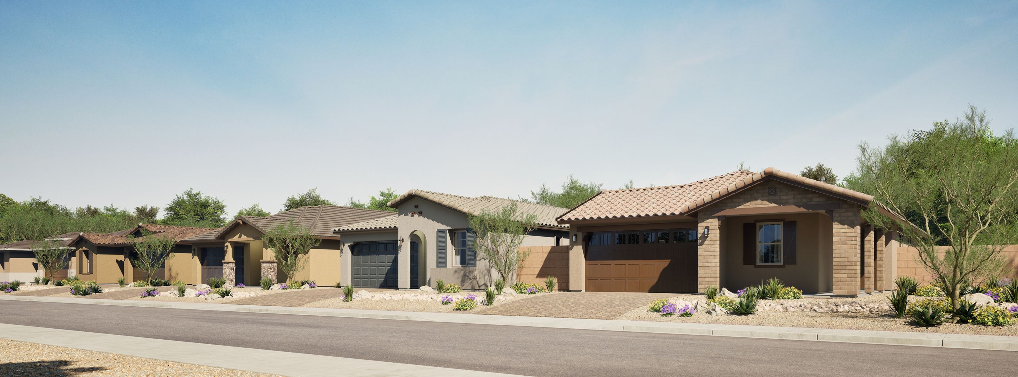 Discovery Saddleback Streetscape