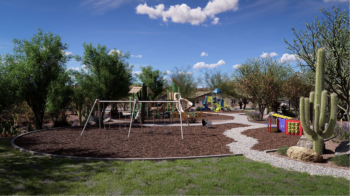 Saddleback Amenity Playground 1of3