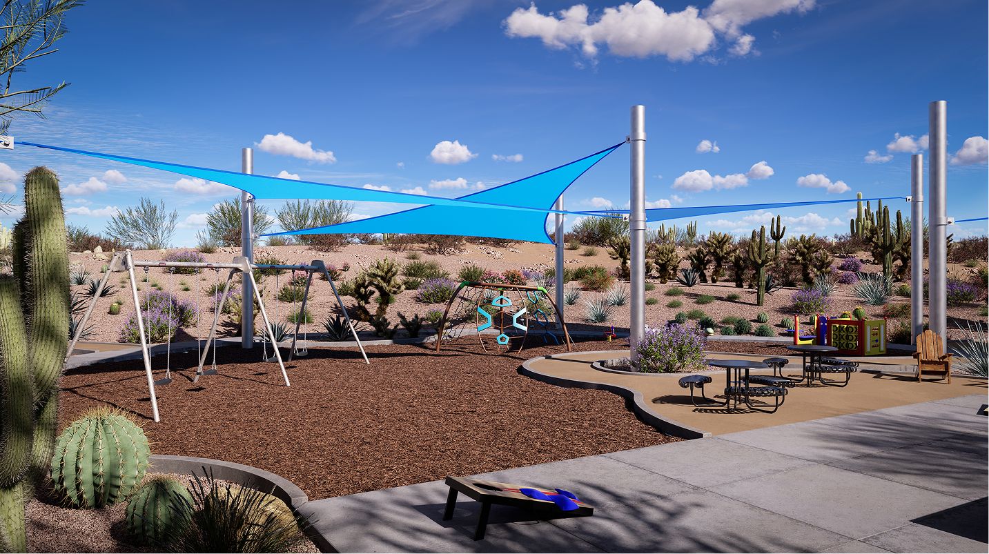 Saddleback Amenity Playground 2of3