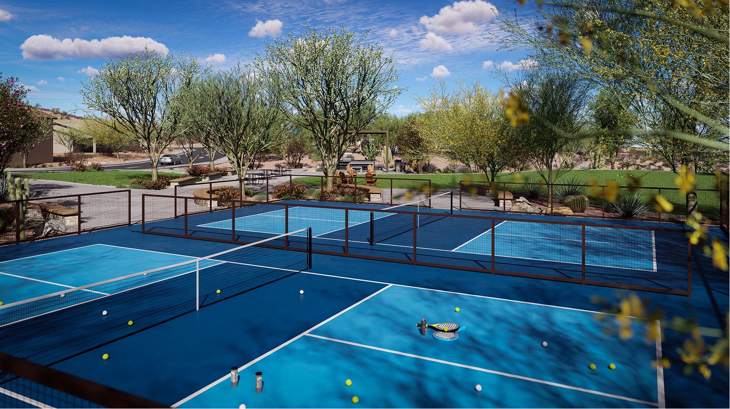 Saddleback Amenity Pickleball 1of2