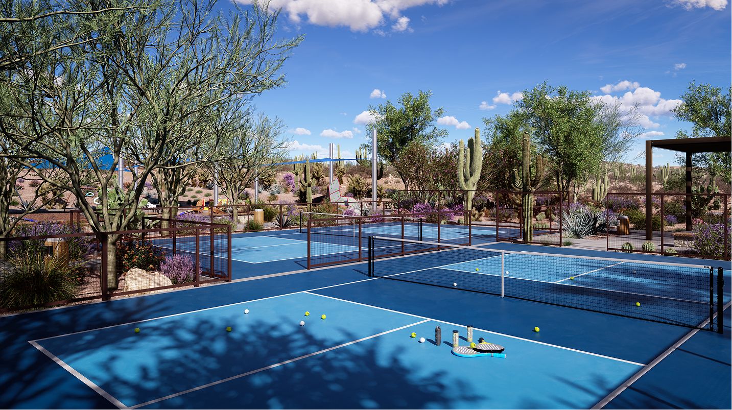 Saddleback Amenity Pickleball 2of2