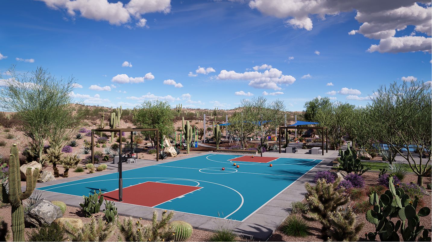 Saddleback Amenity Basketball