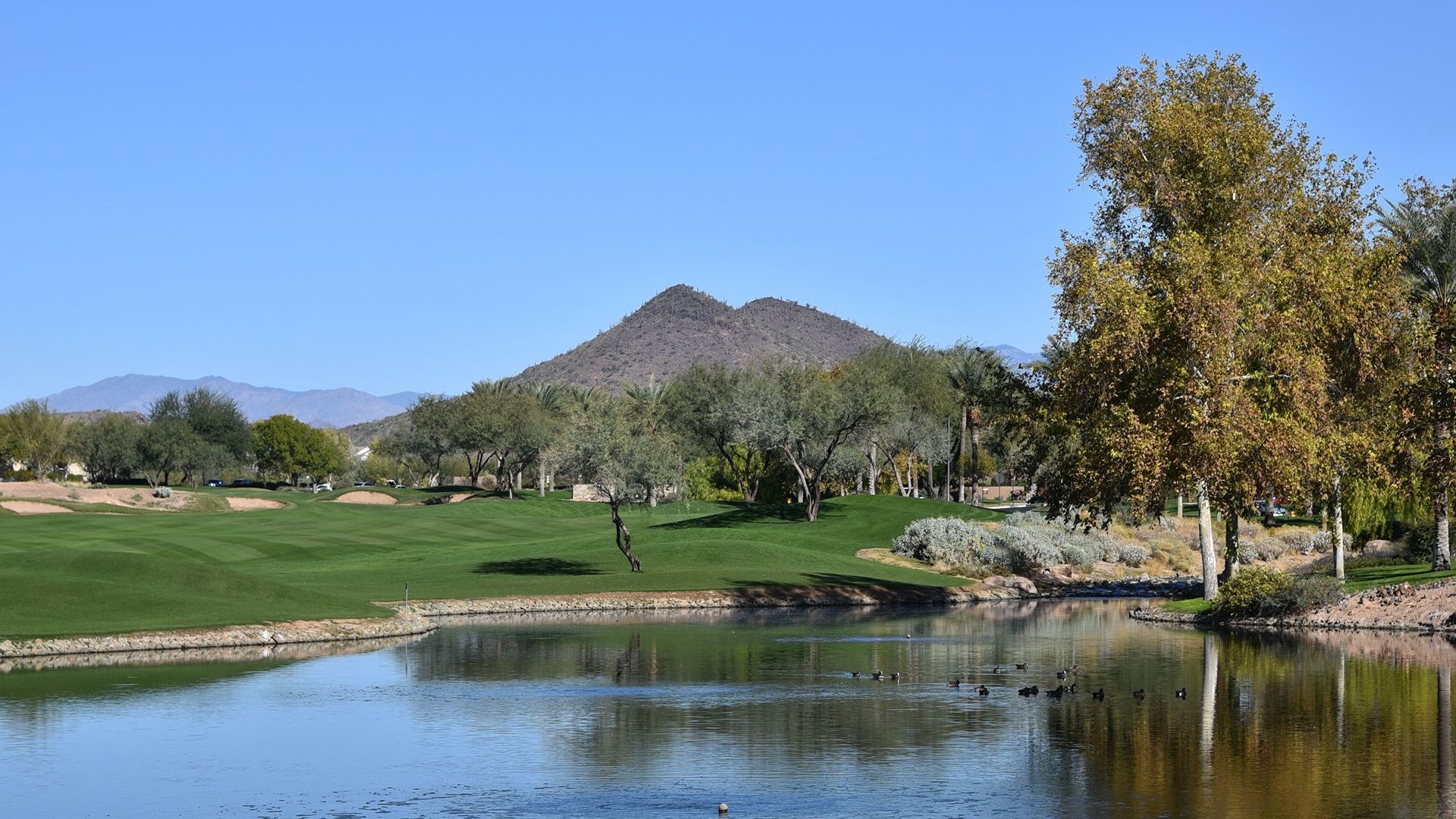 Pic Golf