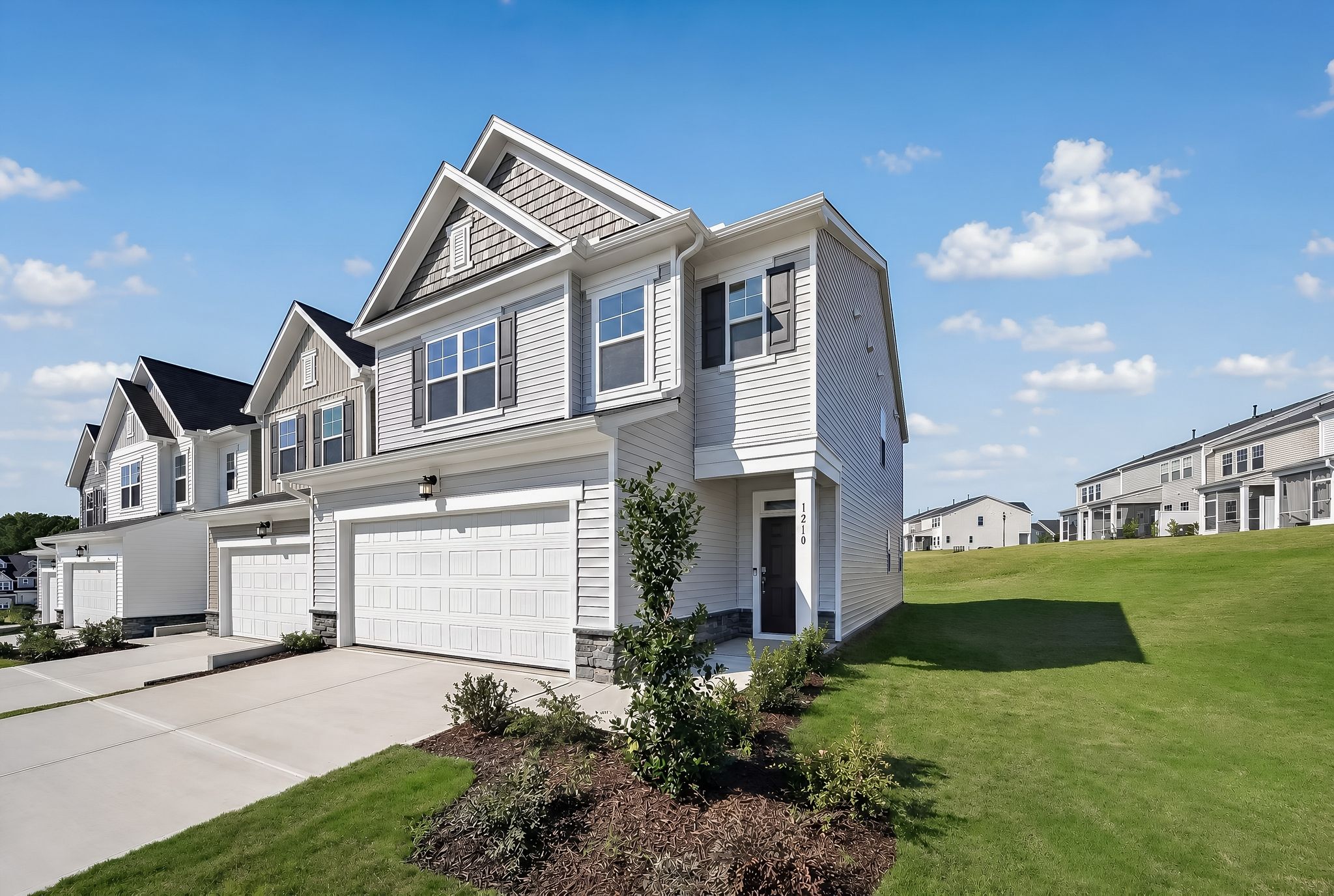 1210 BLUE DASHER LANE (Coleman)