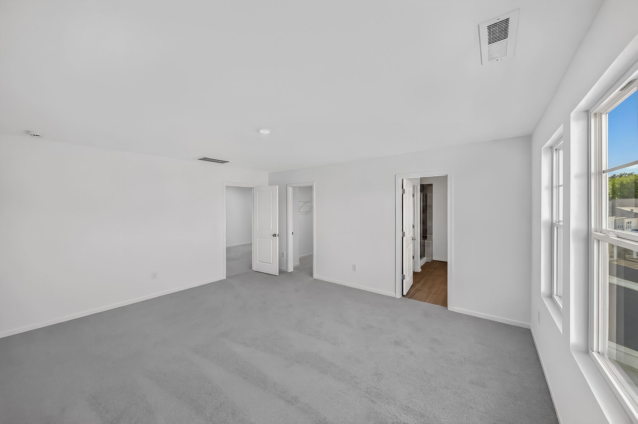 Elizabeth Springs Coleman 20