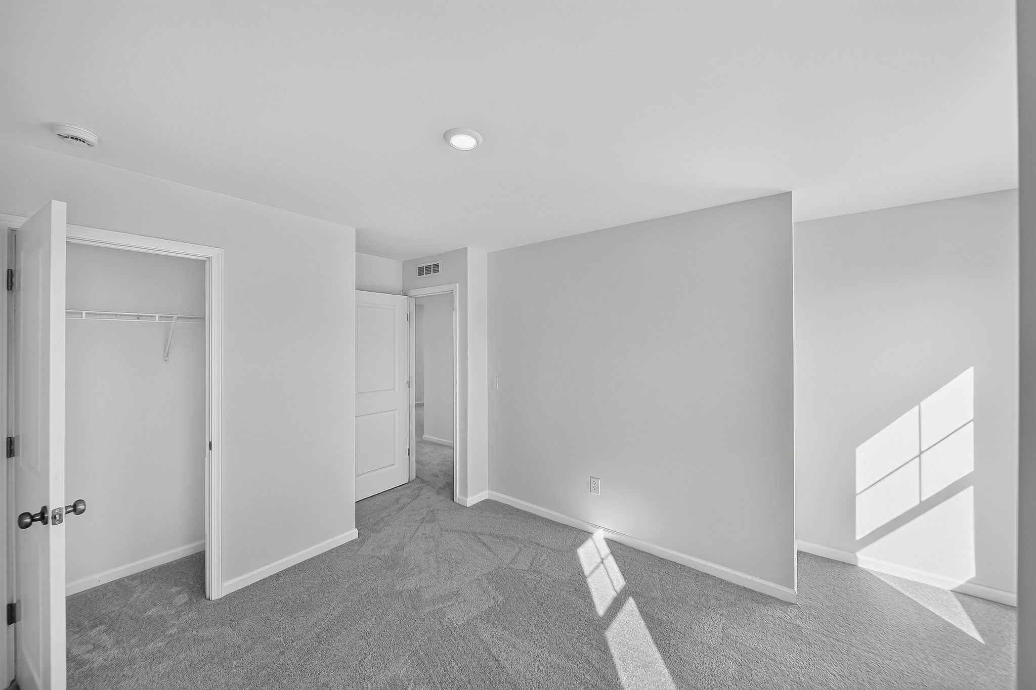 Elizabeth Springs Coleman 15