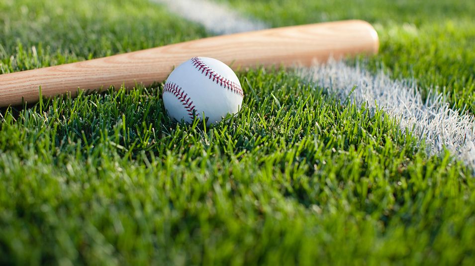 Sports Baseball Bat Field